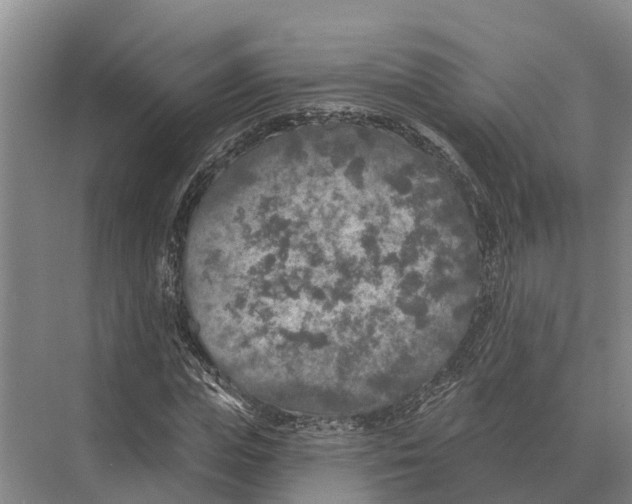 X0000071960823200608041617