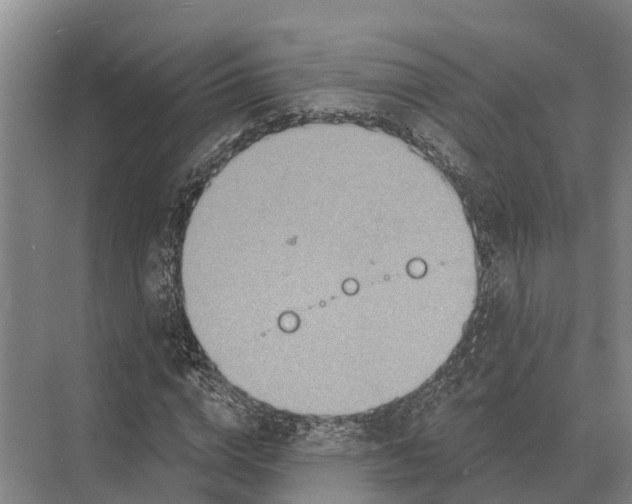 X0000071960824200608041617