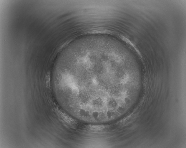 X0000071960825200608041617