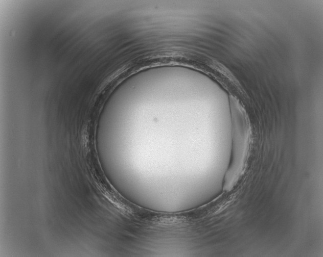 X0000071960826200608041617