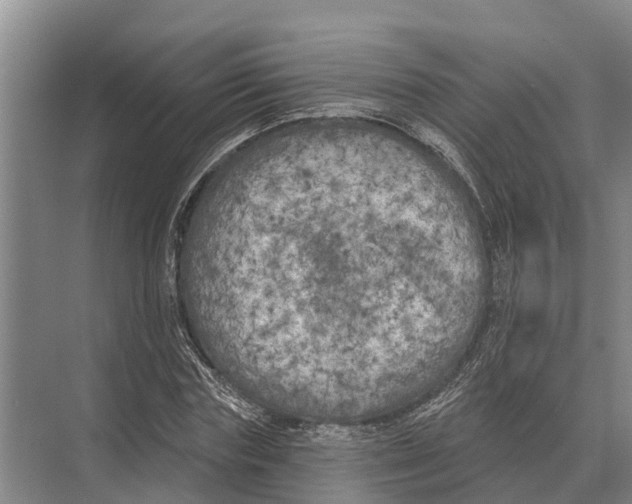 X0000071960827200608041617