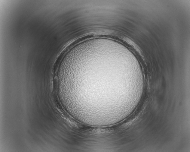 X0000071960829200608041617