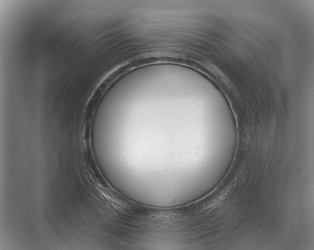 X0000071960830200608041617