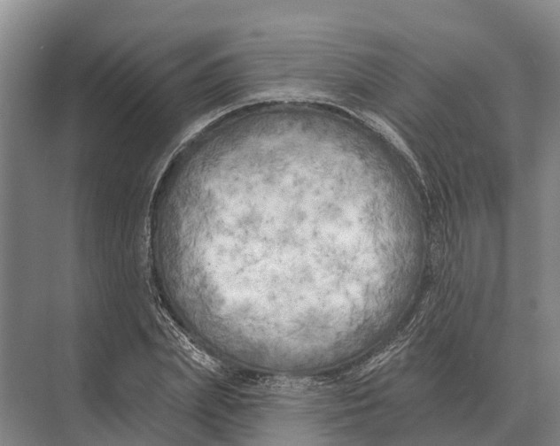 X0000071960831200608041617