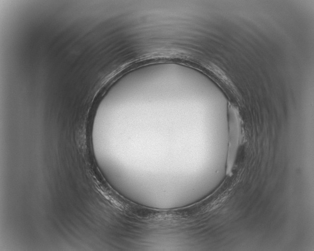 X0000071960834200608041617