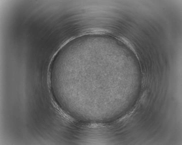 X0000071960835200608041617