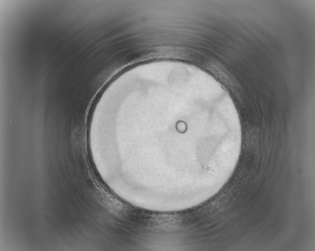 X0000071960836200608041617