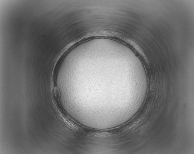 X0000071960837200608041617