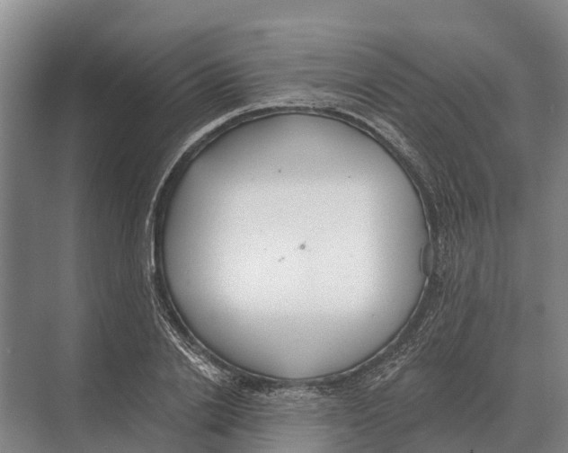 X0000071960838200608041617