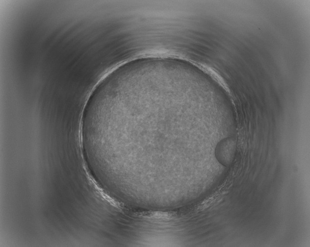 X0000071960839200608041617