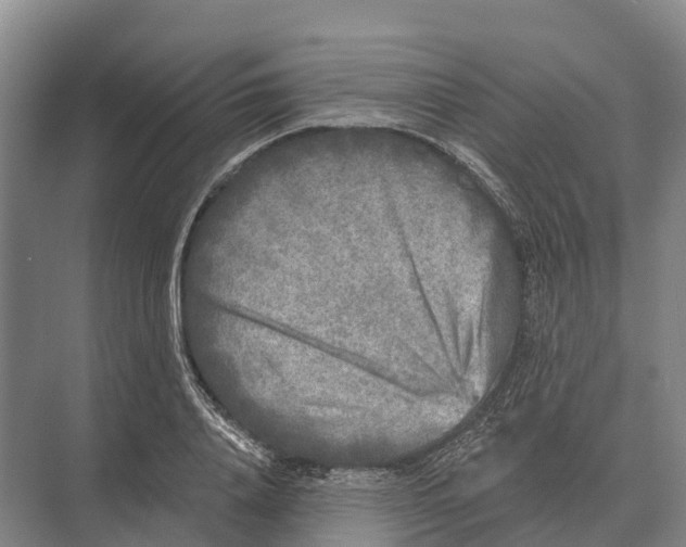 X0000071960840200608041617