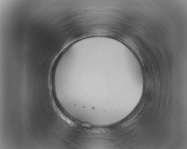 X0000071960843200608041617