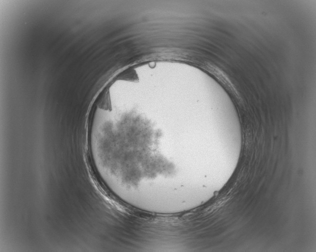 X0000071960844200608041617