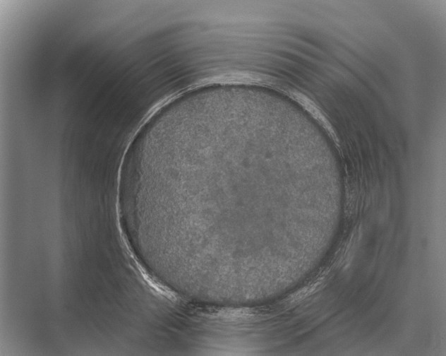 X0000071960845200608041617