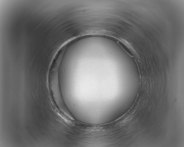 X0000071960846200608041617