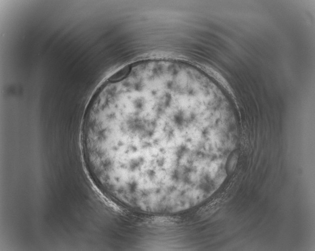 X0000071960847200608041617