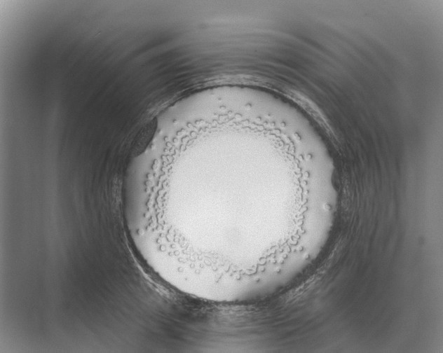 X0000071960849200608041617