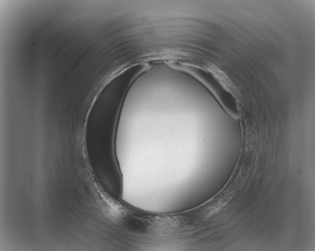 X0000071960850200608041617