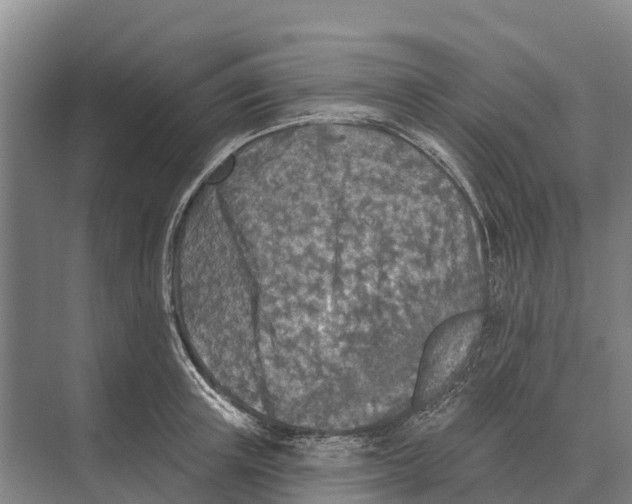 X0000071960851200608041617