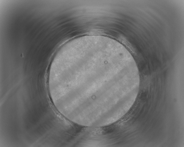 X0000071960856200608041617