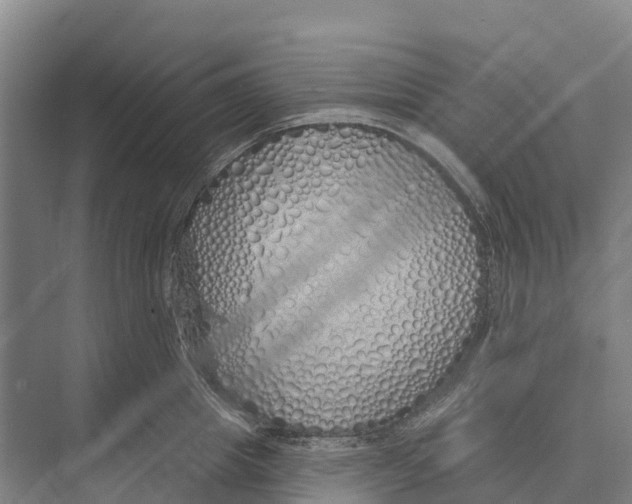 X0000071960857200608041617