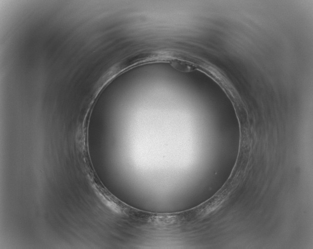 X0000071960858200608041617