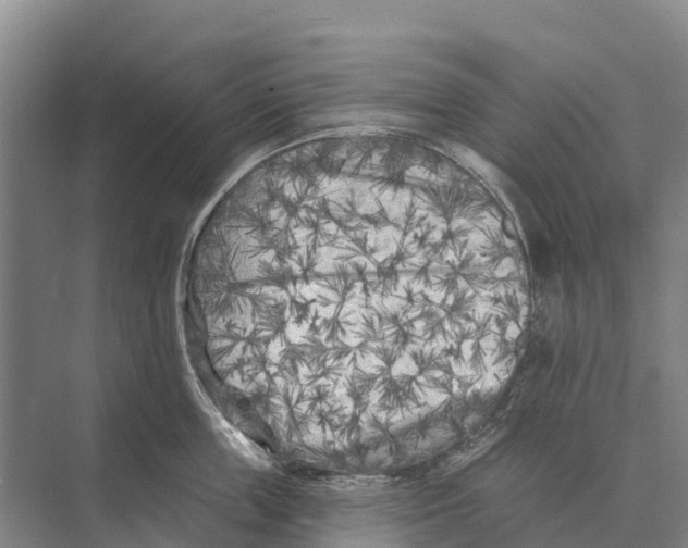 X0000071960859200608041617