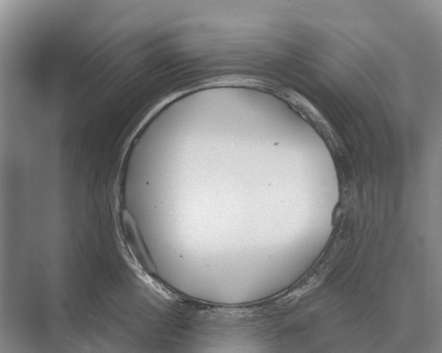 X0000071960860200608041617