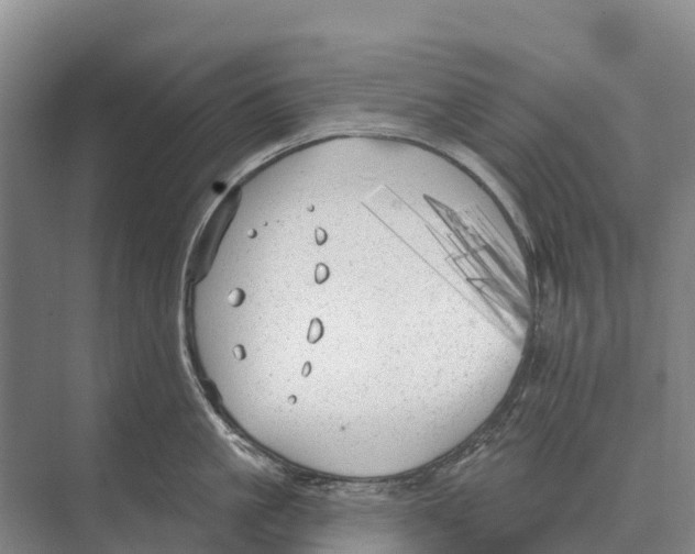 X0000071960861200608041617