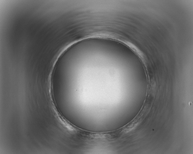 X0000071960862200608041617