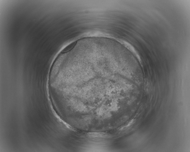 X0000071960863200608041617