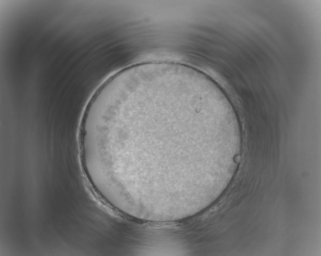 X0000071960864200608041617