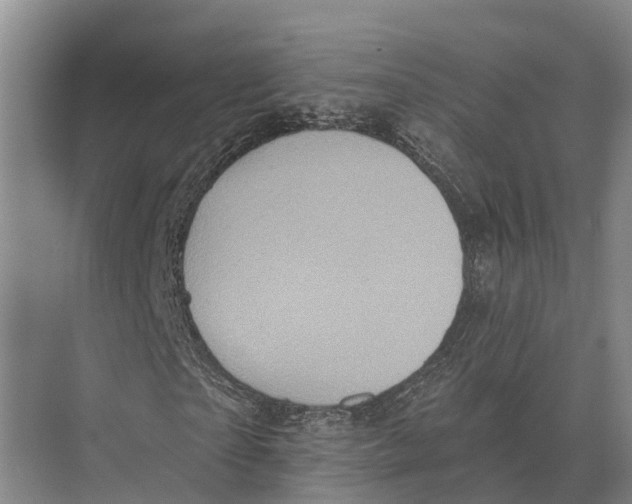 X0000071960865200608041617