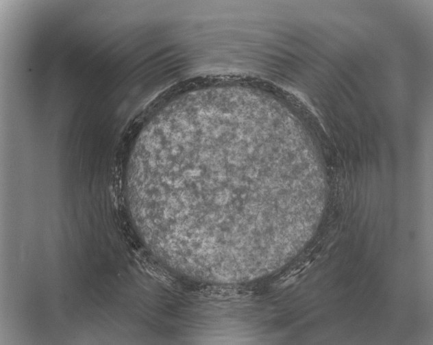 X0000071960871200608041616