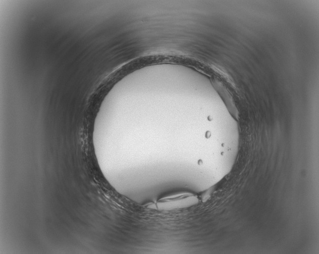 X0000071960872200608041616