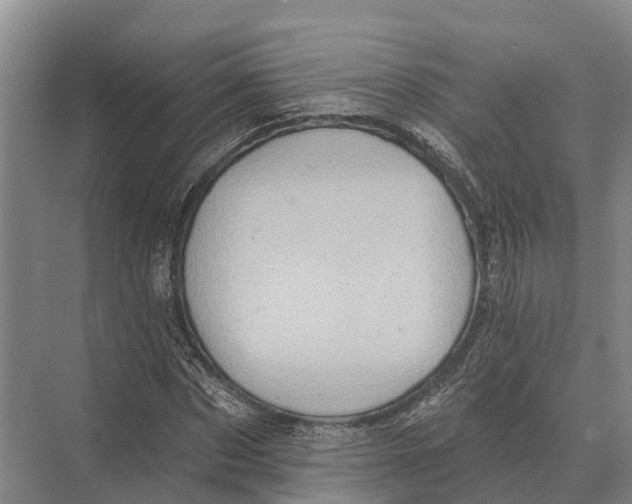 X0000071960873200608041616