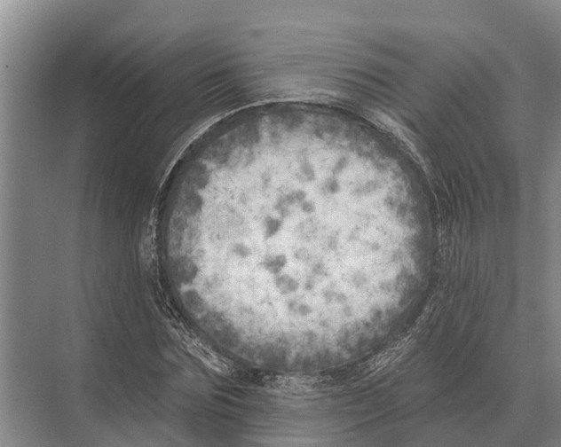 X0000071960875200608041616