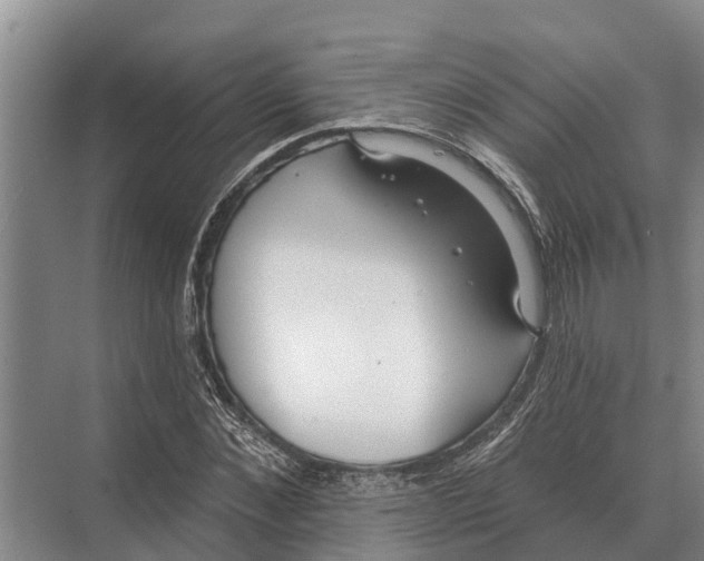 X0000071960876200608041616