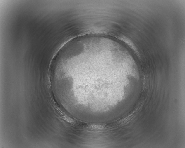 X0000071960878200608041616