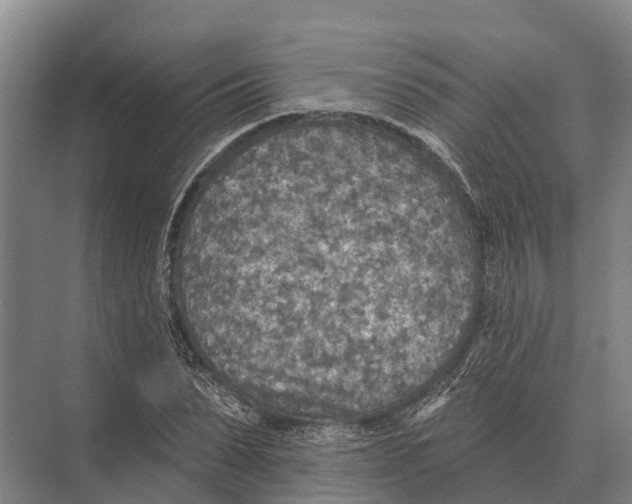 X0000071960879200608041616