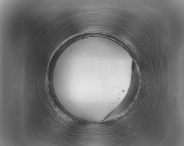 X0000071960880200608041616