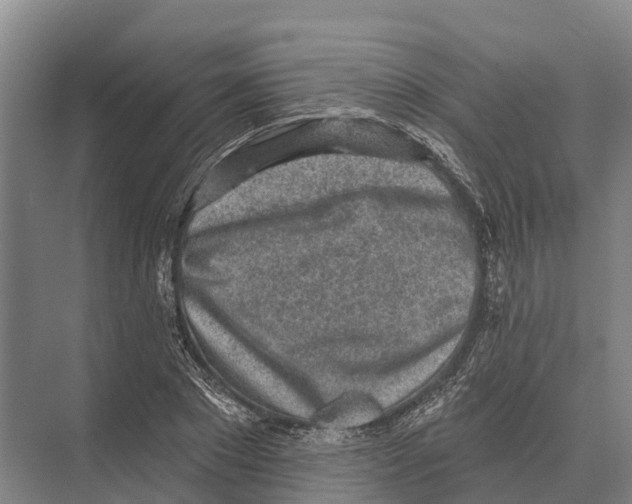 X0000071960881200608041616