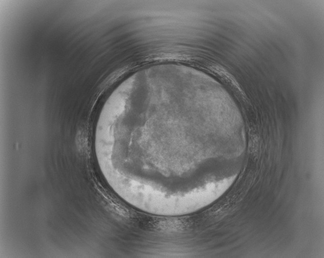 X0000071960882200608041616