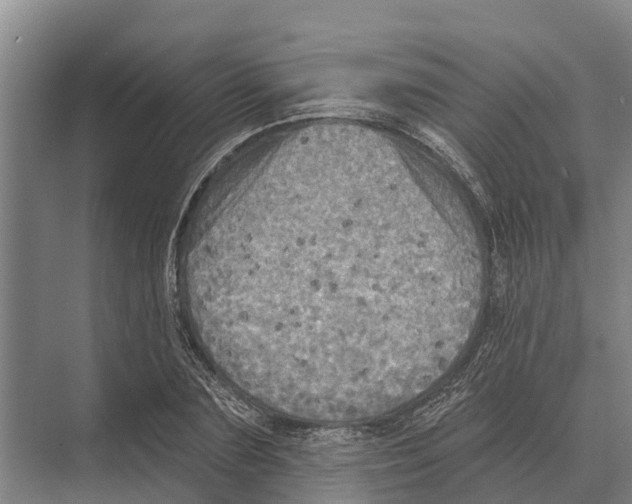 X0000071960883200608041616