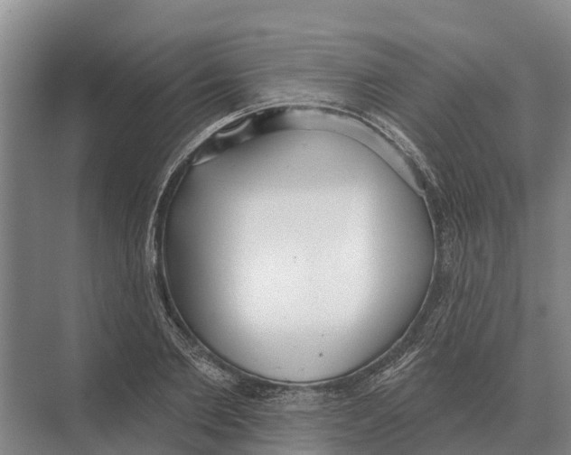 X0000071960885200608041616