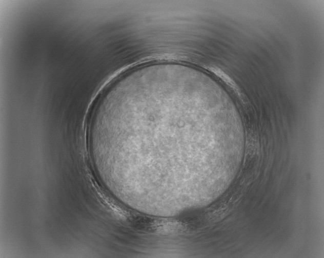 X0000071960886200608041616