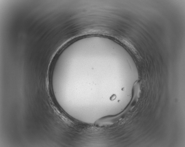 X0000071960888200608041616