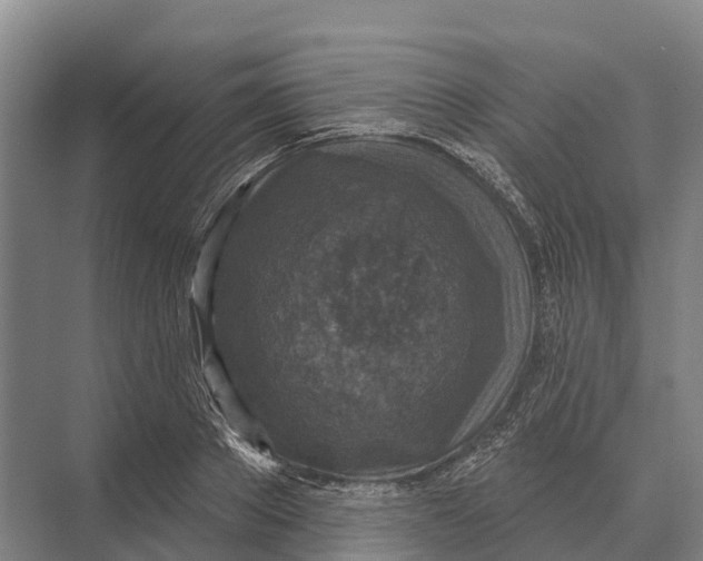 X0000071960889200608041616