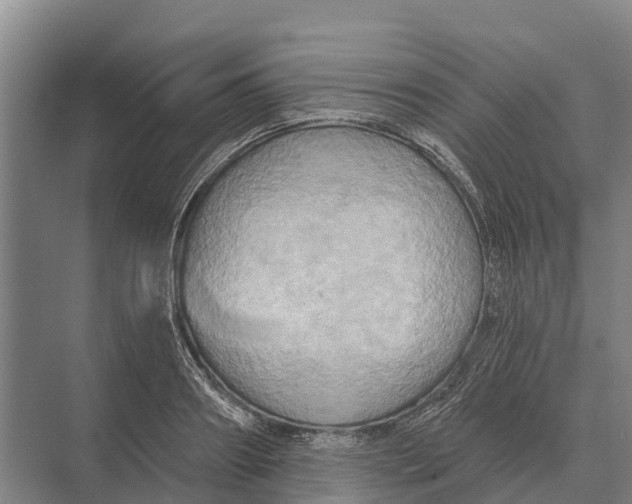 X0000071960890200608041616