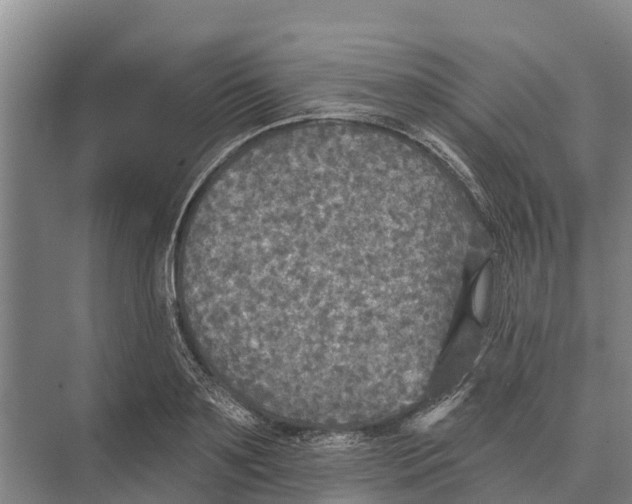 X0000071960891200608041616